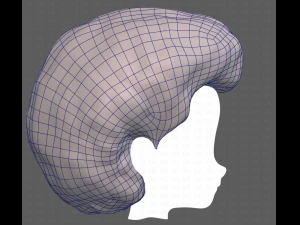 Base Hair for Boy V15 3D Model