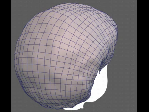 Base Hair for Boy V15 3D Model