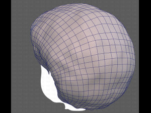 Base Hair for Boy V15 Model 3D