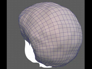 Base Hair for Boy V15 3D Model