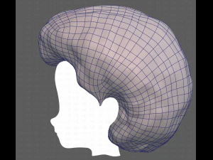 Base Hair for Boy V15 3D Model
