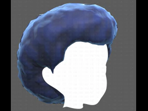 Base Hair for Boy V15 3D Model