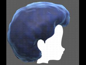 Base Hair for Boy V15 3D Model