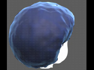 Base Hair for Boy V15 3D Model