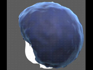 Base Hair for Boy V15 3D Model