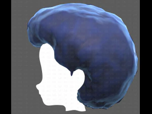 Base Hair for Boy V15 3D Model