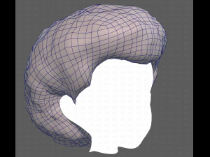 Base Hair for Boy V15 3D Model