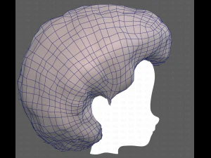 Base Hair for Boy V15 3D Model