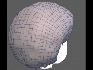Base Hair for Boy V15 Model 3D
