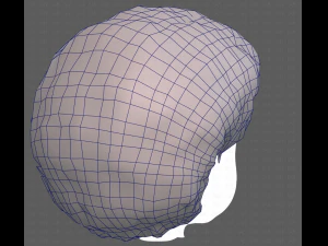 Base Hair for Boy V15 3D Model