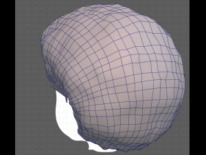 Base Hair for Boy V15 Model 3D