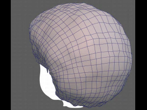 Base Hair for Boy V15 3D Model