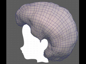 Base Hair for Boy V15 3D Model