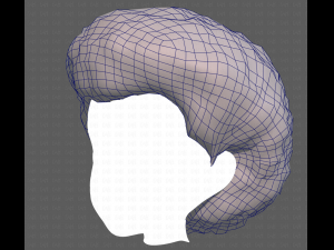 Base Hair for Boy V15 Model 3D