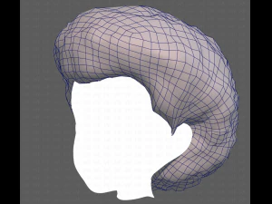 Base Hair for Boy V15 3D Model