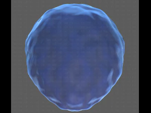 Base Hair for Boy V15 3D Model