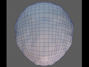 Base Hair for Boy V15 3D Model