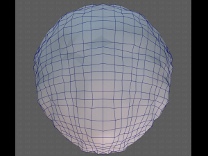 Base Hair for Boy V15 Model 3D
