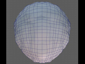 Base Hair for Boy V15 3D Model