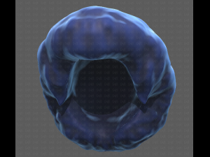 Base Hair for Boy V15 Model 3D