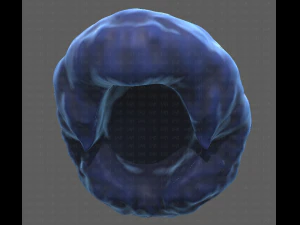 Base Hair for Boy V15 3D Model