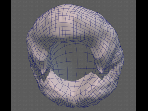 Base Hair for Boy V15 Model 3D