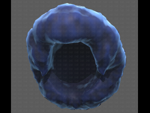 Base Hair for Boy V15 Model 3D