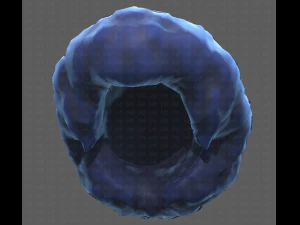 Base Hair for Boy V15 3D Model