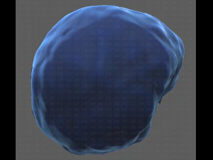 Base Hair for Boy V15 3D Model