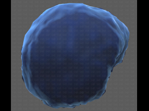 Base Hair for Boy V15 Model 3D