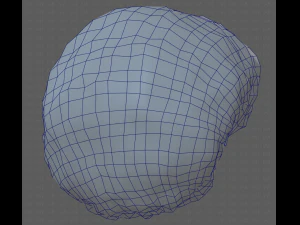 Base Hair for Boy V15 3D Model