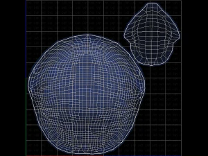 Base Hair for Boy V15 3D Model