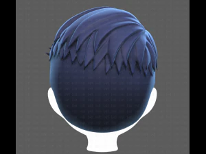 Base Hair for Boy V16 3D Model