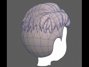 Base Hair for Boy V16 3D Model