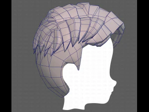 Base Hair for Boy V16 3D Model
