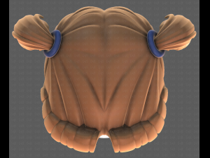 Base Hair for girl V17 Modelo 3D