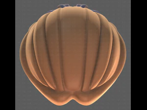 Base Hair for girl V18 3D Model