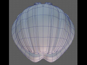 Base Hair for girl V18 3D Model
