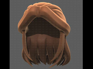Base Hair for girl V18 3D Model