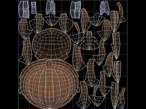 Base Hair for girl V18 3D Model