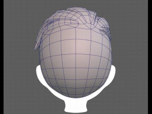 Base Hair for Boy V17 3D Model