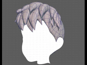 Base Hair for Boy V17 3D Model