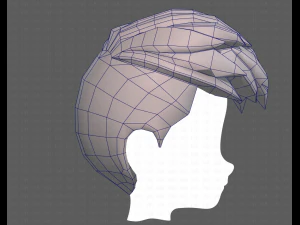 Base Hair for Boy V17 3D Model