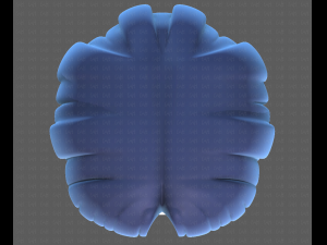Base Hair for Boy V18 3D Model