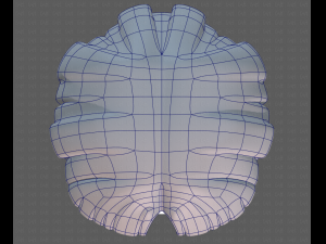 Base Hair for Boy V18 3D Model