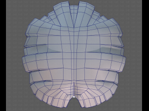 Base Hair for Boy V18 3D Model