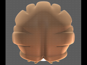 Base Hair for girl V19 3D मॉडल