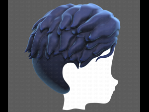 Base Hair for Boy V19 Model 3D