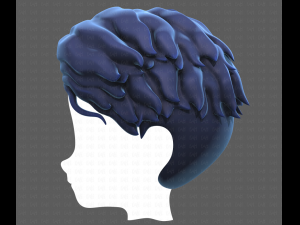 Base Hair for Boy V19 Model 3D