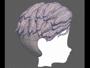 Base Hair for Boy V19 Model 3D